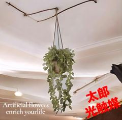 光触媒 人工観葉植物 ウォールグリーン フェイクグリーン ユッカ