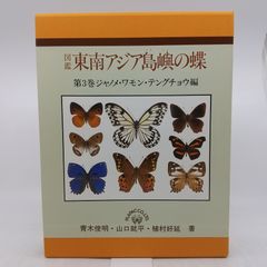 MXー24S様 行者ニンニク24ポット - メルカリ