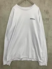 Patagonia パタゴニア 38518 長袖 プリント Tシャツ sizeS/ライトブルー ■■ メンズ