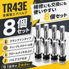 エアバルブ 100個 セット TR413 キャップ付き バルブコア 車 タイヤ