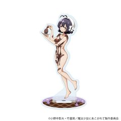 魔法少女にあこがれて 竹書房STORE 特典ミニクロス 柊うてな - メルカリ