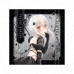 【新品】TVアニメ ハイスクールD×D HERO マイクロファイバー 塔城小猫 ボンテージ ver.【正規品】のサムネイル