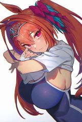 チョコレートショップ][C104 アクリルカレイドフレーム][CHOCO][FGO_