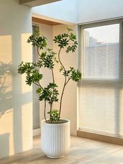 新品】大型軽量植木鉢 FiberCray KKM-L0007 おしゃれ シンプル モダン