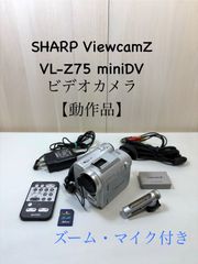美品✨パナソニック 内蔵メモリ HDC-TM35 ビデオカメラ 32GB Panasonic HDC-TM35 内蔵メモリー32GB デジタルビデオカメラ【美品