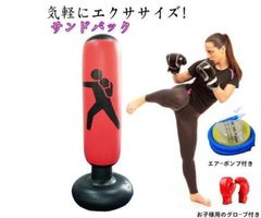 プレミア品‼︎‼︎ 朝倉未来さん使用 人間型サンドバッグ トレーニング