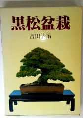 黒松 盆栽 古木 山採り - メルカリ