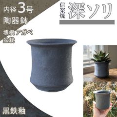 鶴仙園 三州 みやび鉢 ONIBATH KAKUSENEN OK-01 - メルカリ