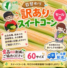 沖縄県久米島産 白いとうもろこし スイートコーン 訳ありお買い得品