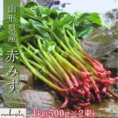 ラスト予約■山形県産　初夏の山菜　赤みず　1ｋｇ（500g×2束）のサムネイル