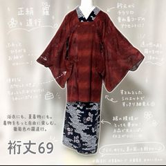 未着用 東レ 単衣 絵羽訪問着フルセット 胴抜き 夏帯 夏小物 - メルカリ