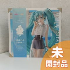 【未開封】キャラクター・ボーカル・シリーズ01 初音ミク NT風私服Ver. 1/6