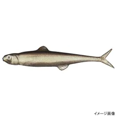 【アウトレット】 エバーグリーン（EVERGREEN） ワーム ラストエース75 #57 トリックシャッド(O)【ゆうパケット】のサムネイル