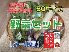 6月発送】旬の野菜8-10品セット 和歌山産 農薬不使用 - メルカリ
