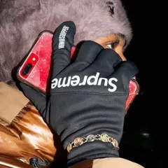 2026年最新】Supreme WINDSTOPPER Zip Gloves blackの人気アイテム