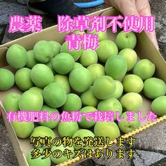 岡山県産にこまる玄米10kg(農薬・除草剤不使用) - メルカリ