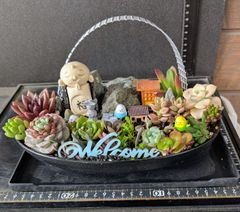 26052701多肉植物の寄せ植え☆お地蔵さんの見える里山 - メルカリ