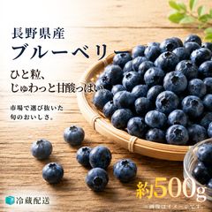 最高級採れた新鮮ブルーベリー 超希少大粒秀品 新入荷即発送 お得