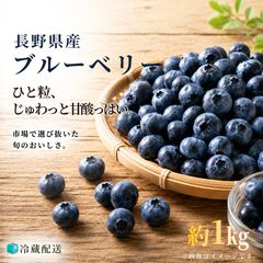 自然農法 冷凍ブルーベリー 3000g - メルカリ