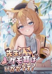 [중고] 남성향 일반 동인지 ≪블루 아카이브≫ 선생님! 케모 귀는 어떻습니까? vol.2 / 에시네코 / Flippy / KIVOTOS DIY