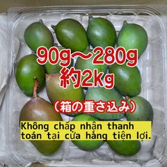 摘果マンゴー 6kg 20〜250g - メルカリ