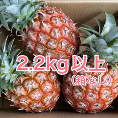 甘い樹実り完熟スナックパイン❣️生産量日本一の東村のパイナップル