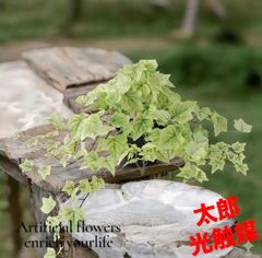 光触媒 人工観葉植物 ウォールグリーン フェイクグリーン ユッカ