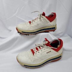 ECCO GOLF エコー GORE-TEX ゴルフ 26.0cm BiomC - メルカリ