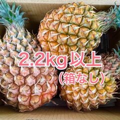 甘い樹実り完熟スナックパイン❣️生産量日本一の東村のパイナップル