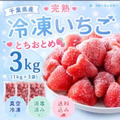 完熟とちおとめ冷凍いちご 3kg 千葉県産 - メルカリ