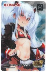 メタリック e-AMUSEMENT PASS、QMA グリム アロエ、深夜 - メルカリ