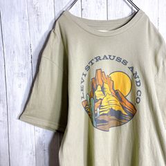 半袖Tシャツ ラグラン袖 バイカラー L クリーム 黒 サーフィン 