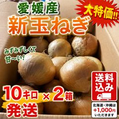 希少品種 湘南ゴールド（柑橘苗）3本 ねこねこねこねこ様専用 - メルカリ