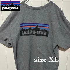 【古着】patagonia(パタゴニア)半袖Tシャツ XL グレー US古着 メキシコ製 バックロゴ 胸ポケット アウトドア