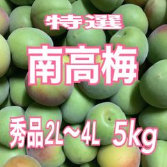 露茜 大きさ不揃い 4.5kg 和歌山県産 梅酒 シロップ ジャム - メルカリ