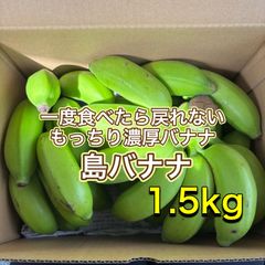 沖縄県産 島バナナ 約1.5kg 上品な香りと甘さ もっちり食感 - メルカリ