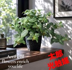 光触媒 人工観葉植物 ウォールグリーン フェイクグリーン ユッカ
