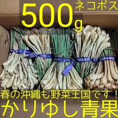 2026年最新】島らっきょうの人気アイテム - メルカリ