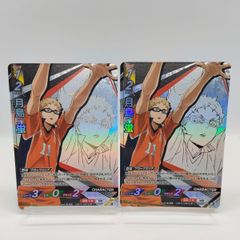 [정] 츠키시마 호타루 2장 하이큐 바보카 브레이크 최강의 도전자 / Haikyu!! Vobaca!! BREAK Kei Tukishima - Vol.2