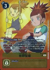 中古】ポケモンカードゲーム 013/XY-P[P]：デデンネ(リザードンメガ
