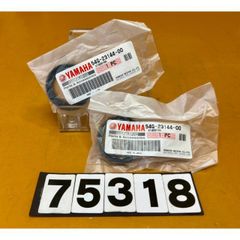 4個セット】ヤマハ 純正ガスケット V-max XV FZ750 FJ1200 - メルカリ