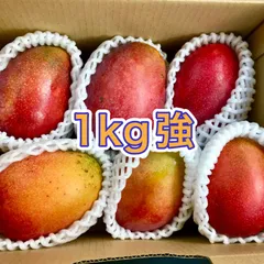 訳あり 沖縄・豊見城産 アップルマンゴー 約1kg｜完熟マンゴーのサムネイル