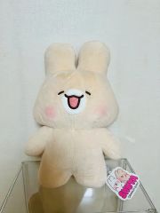 汎用うさぎ ぬいぐるみ Spring edition - メルカリ