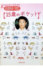 17歳のポケット 山田かまち - メルカリ
