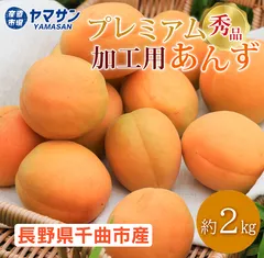 発送中 加工用あんず 秀品 約2kg 長野県千曲市産 高級 プレミアム 【送料無料】クール便（約500g×4パック入）地元で人気の直売所から発送 ２キロ 生あんず 生杏 生杏子  あんず 信州産のサムネイル