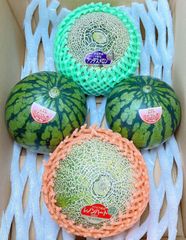 食べ比べセット アンデスメロン 甘いミツバチ交配 レノンハートメロン