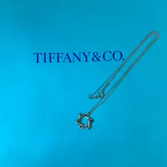 (b) 【美品】Tiffany & Co. ティファニー エルサ ペレッティ スター オブ ダビデ シルバーネックレス SV925 六芒星 アクセサリー 保存袋付き/10417のサムネイル
