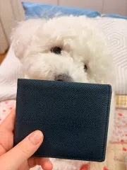 TOD'S トッズ 二つ折り財布のサムネイル