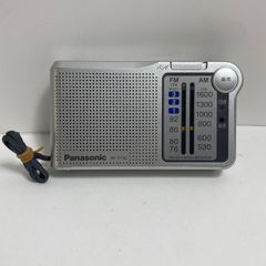 SONY ソニー DCR-TRV10 MiniDV対応 ビデオカメラ 録画 再生 テレビ出力