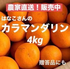 訳あり 国産バレンシアオレンジ M前後4kg /箱何でも/有田みかん/希少 